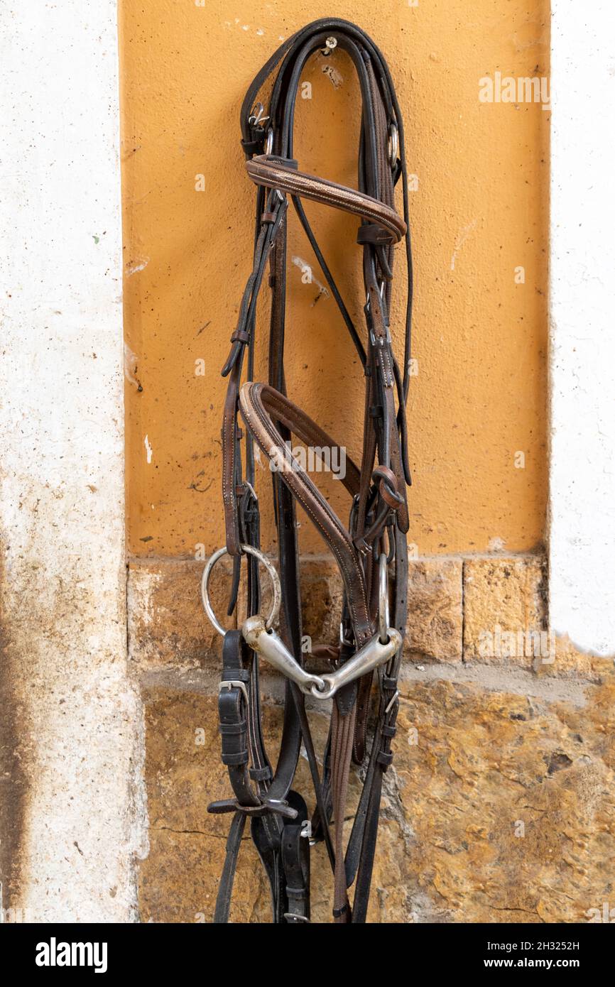 Horse bridles harness hanging on the wall Stock Photo