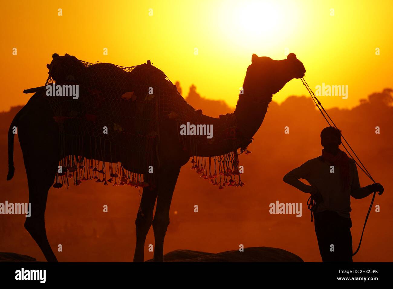 Pushkar - India, 23 October 2021, Indian Tourists Enjoy the Camel Safari at the Desert of Pushkar, in the Indian state of Rajasthan on 23 October 2021. Photo by Himanshu Sharma/ABACAPRESS.COM Stock Photo