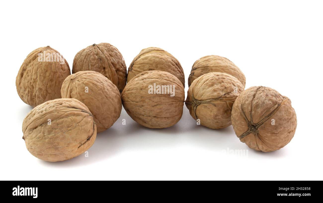 Several walnuts isolated on white background close-up. Stock Photo