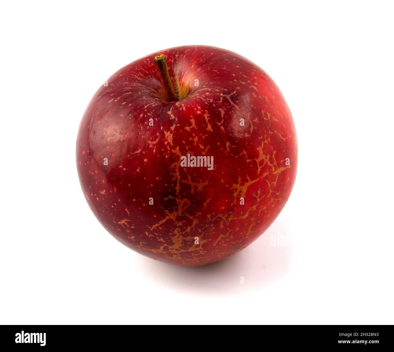 Red apple covered with Venturia inaequalis isolated on white background Stock Photo