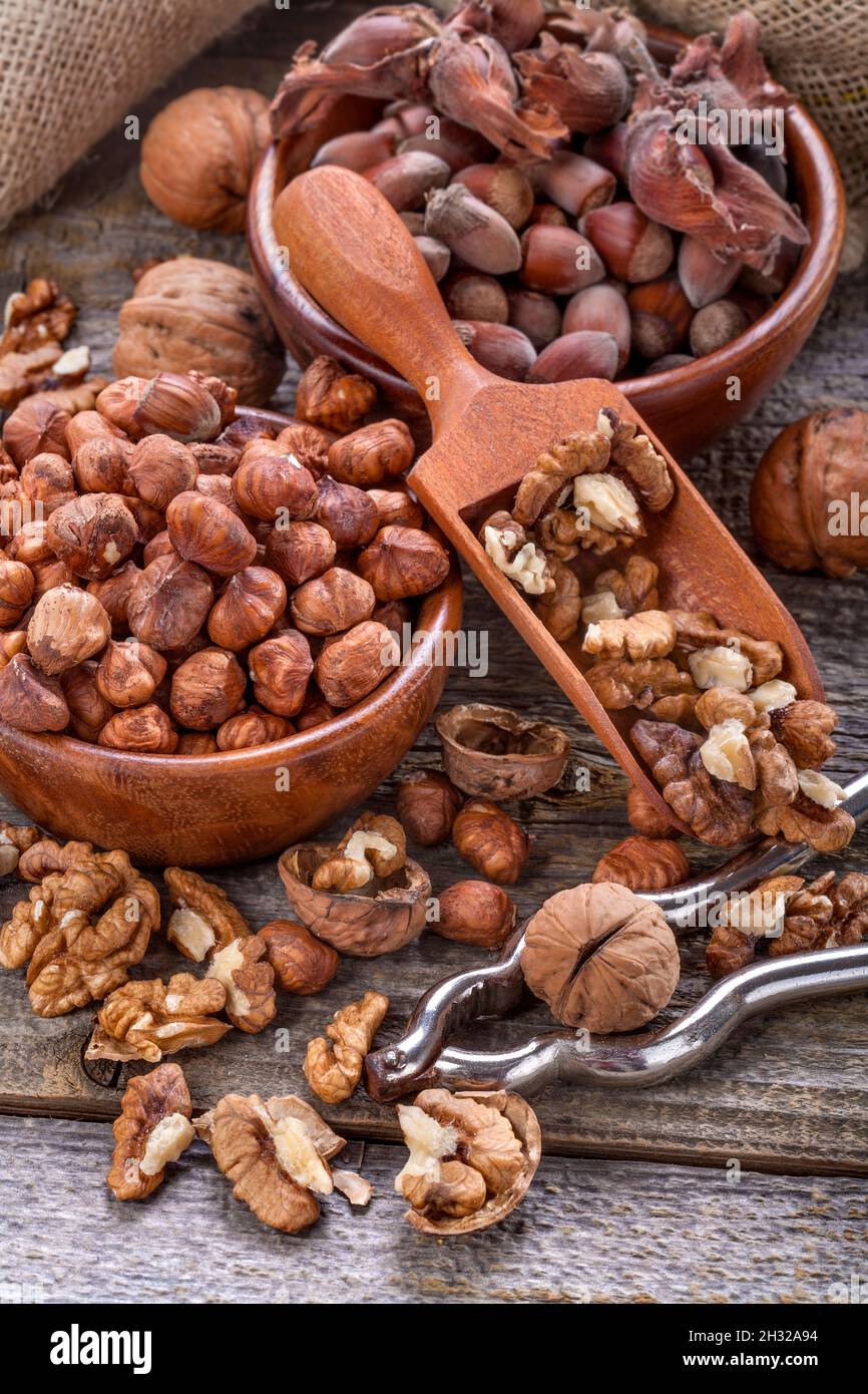 Fat hazel hires stock photography and images Alamy