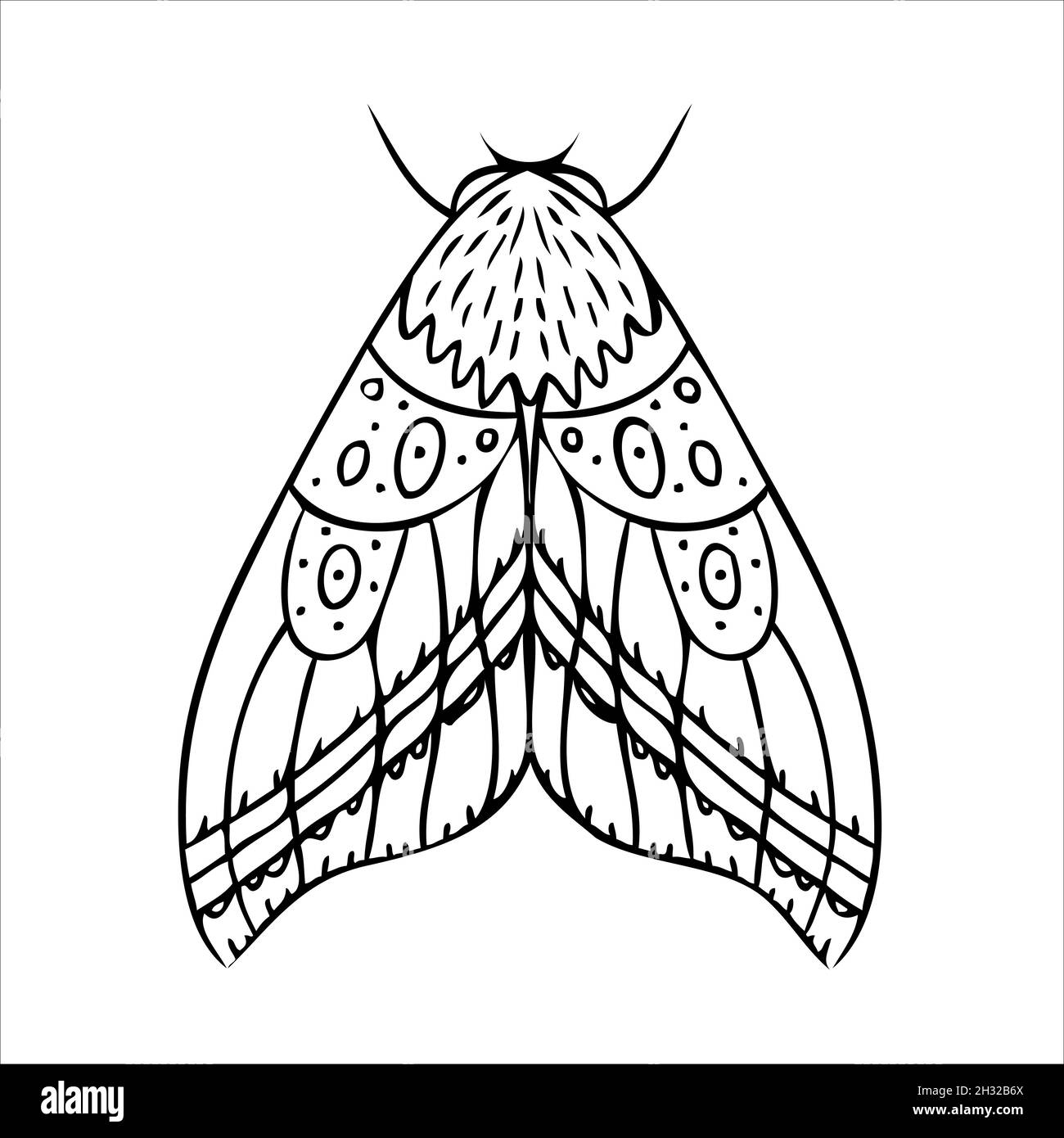 Realistic illustration moth butterfly Black and White Stock Photos ...