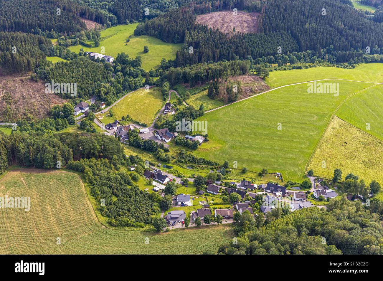 Aerial view, forest area with forest damage in Heimicke, Schreibershof, Drolshagen, Sauerland, North Rhine-Westphalia, Germany, tree death, bark beetl Stock Photo