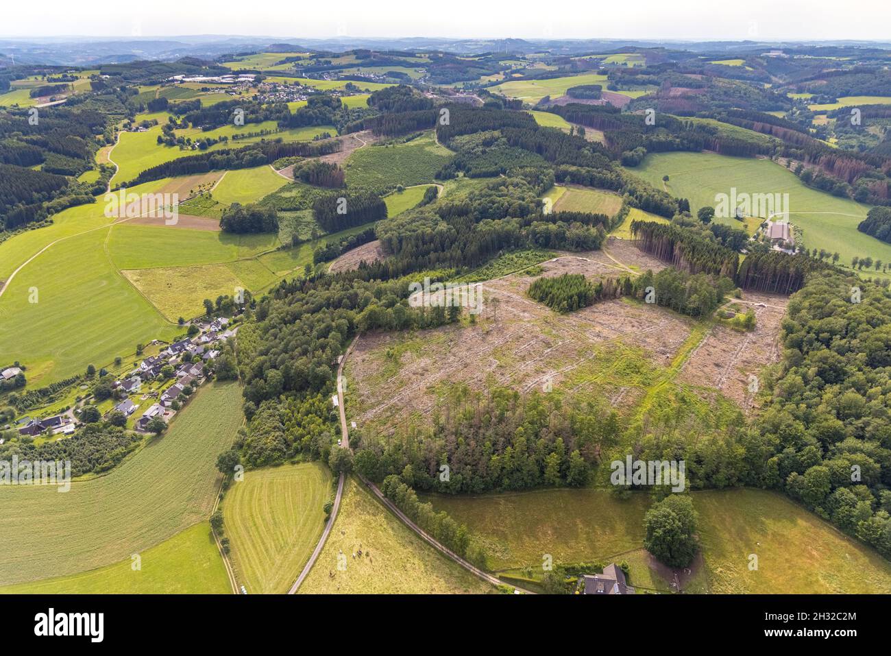 Aerial photograph, forest area with forest damage in Heimicke, Drolshagen, Sauerland, North Rhine-Westphalia, Germany, tree death, bark beetle damage, Stock Photo