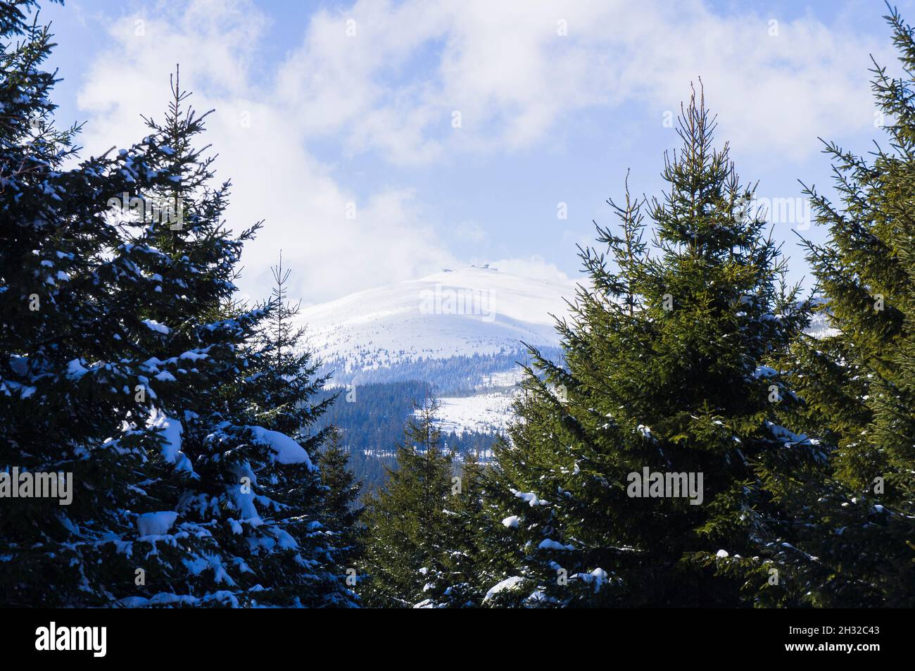The Snezka mountain (1603) on the border between the Czech Republic and Poland, the highest peak in the Giant Mountains and the Czech Republic, on Mar Stock Photo