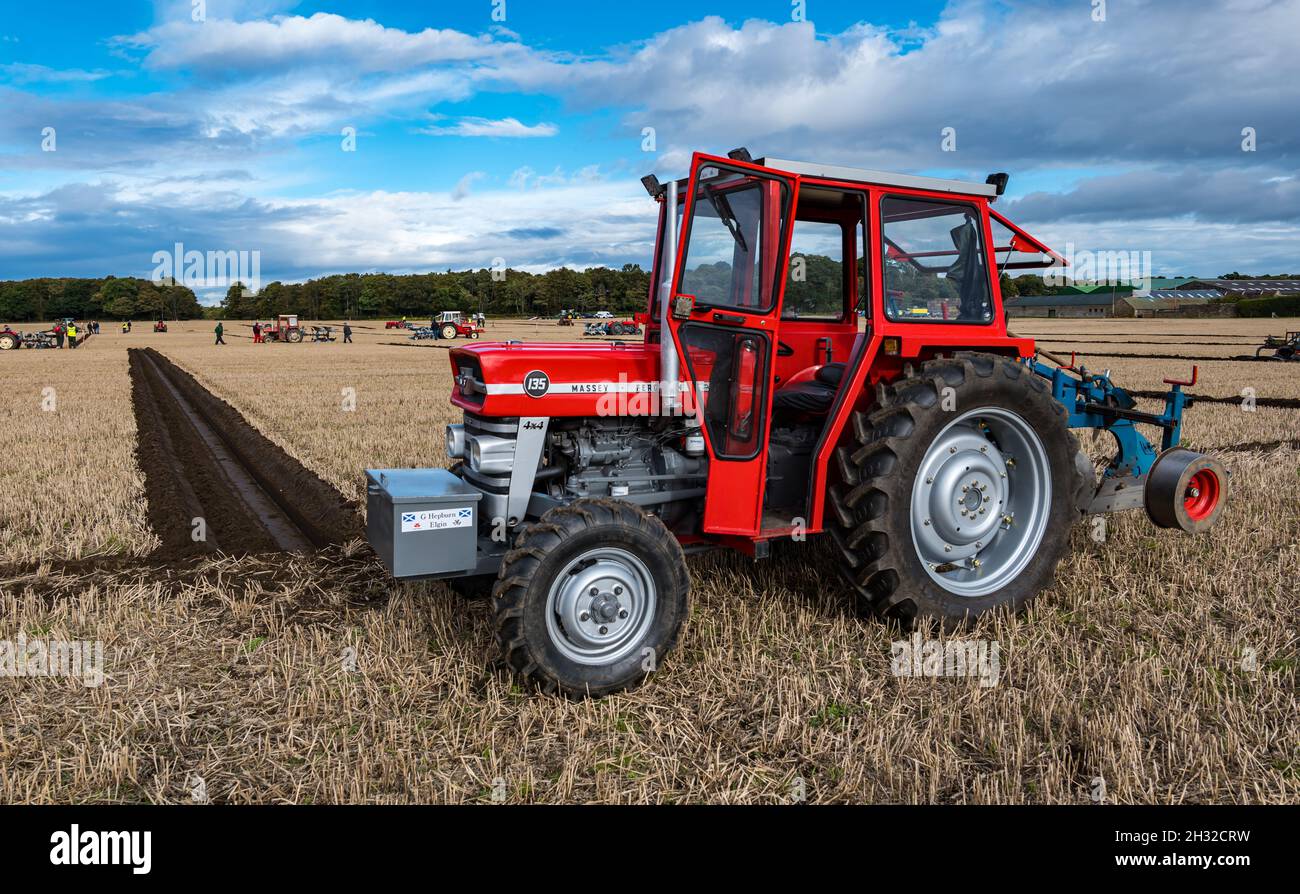 Massey Ferguson tractor with furrows in ploughing match in stubble field, East Lothian, Scotland, UK Stock Photo
