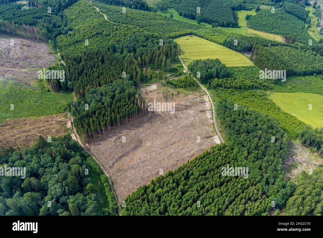 Aerial view, forest area with forest damage between Benolpe and Husten, harvesting work with tractor, Drolshagen, Sauerland, North Rhine-Westphalia, G Stock Photo