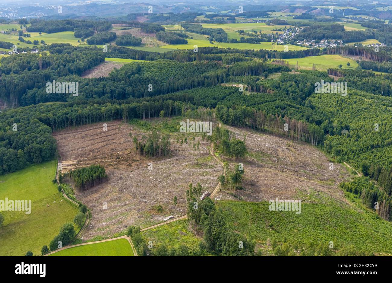 Aerial photograph, forest area with forest damage between Benolpe and Husten, Drolshagen, Sauerland, North Rhine-Westphalia, Germany, tree death, bark Stock Photo