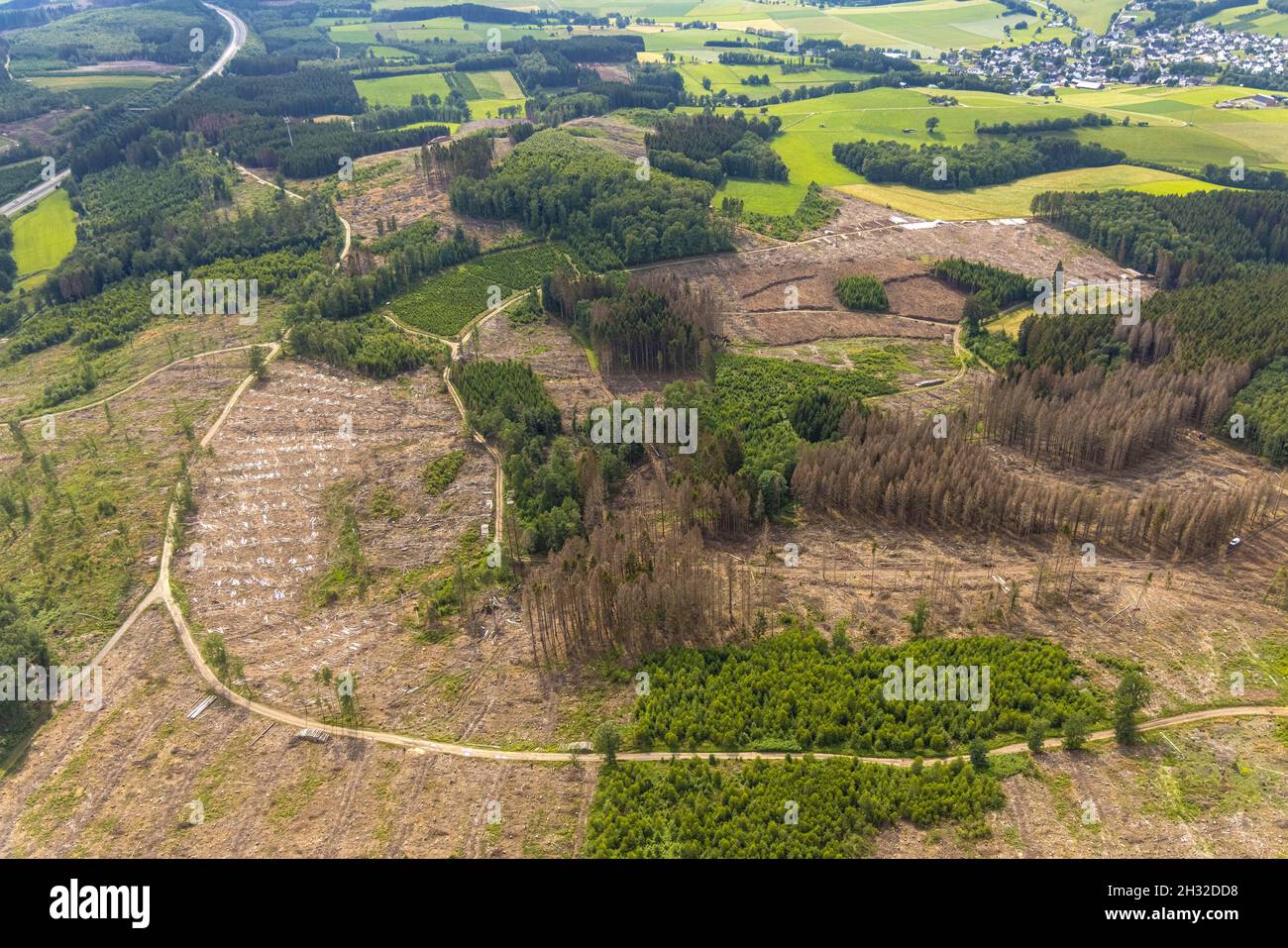 Aerial photograph, forest area with forest damage near Iseringhausen and Brachtpe, Drolshagen, Sauerland, North Rhine-Westphalia, Germany, tree death, Stock Photo