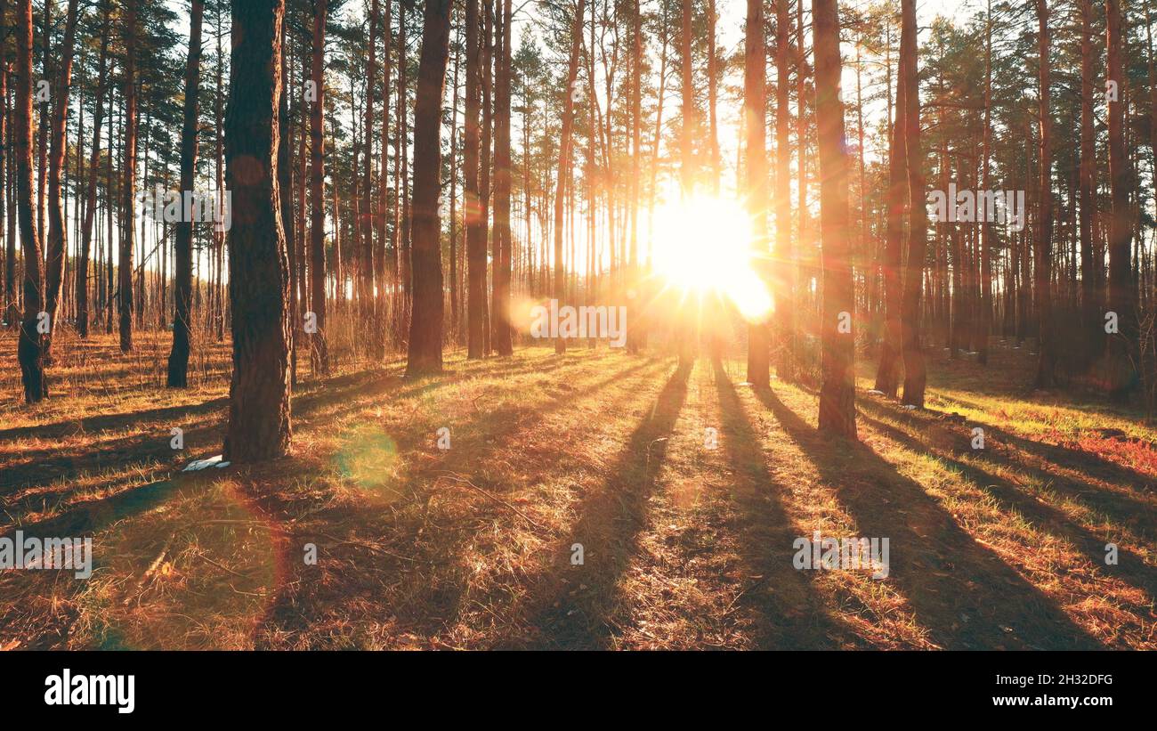 Beautiful 4k timelapse sun rays hi-res stock photography and images - Alamy
