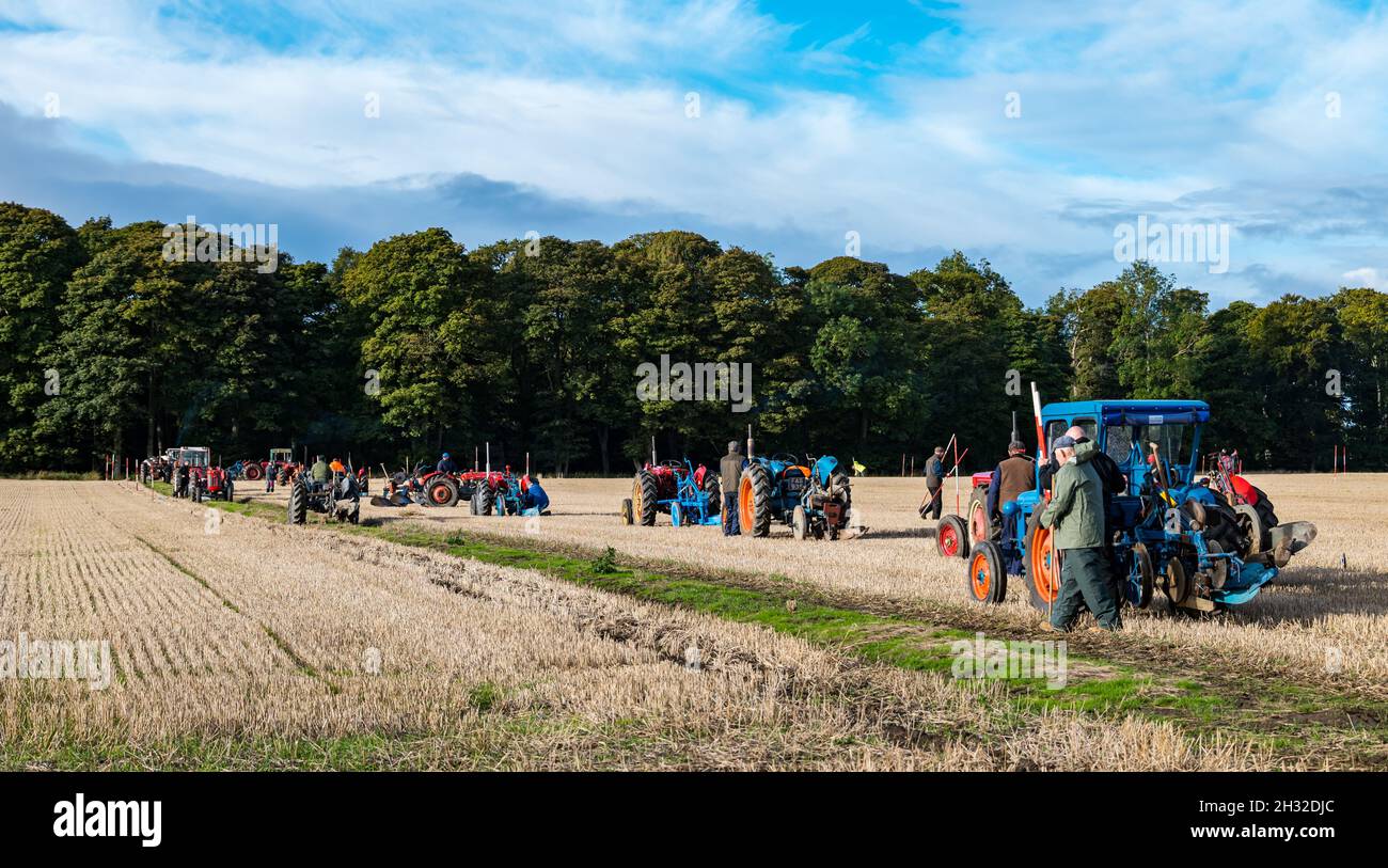 Vintage tractors lined up in ploughing match, East Lothian, Scotland, UK Stock Photo