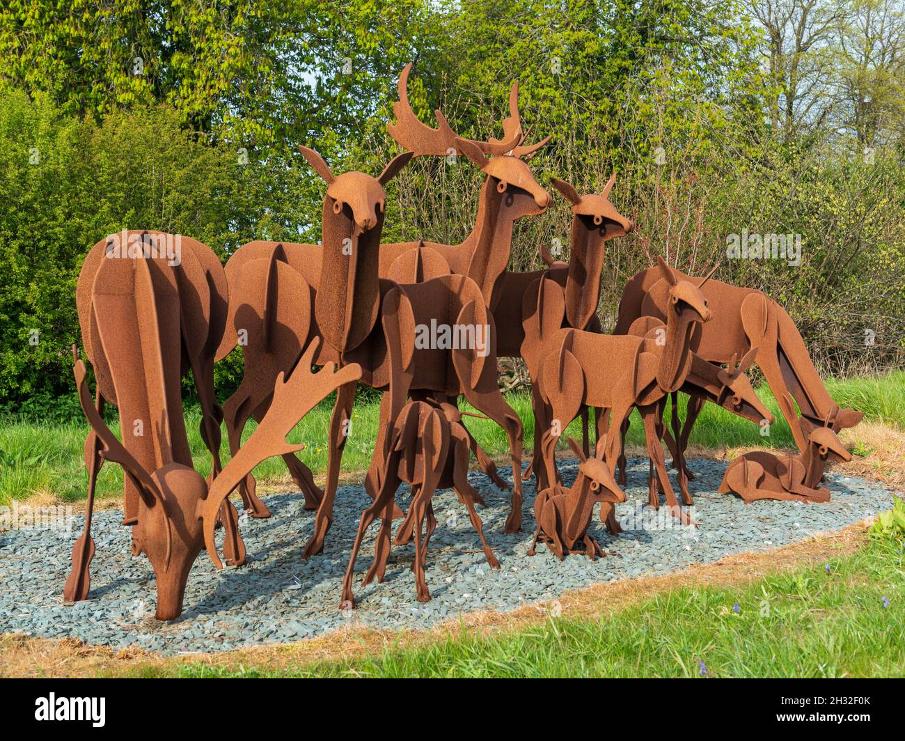 Weathered rusted steel sculpture of a group of roe deer by Brian and ...