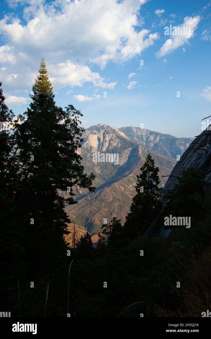 Flooded with sun mountain slopes behind trees silhouette under serene blue sky landscape | View from trail to the top of Moro Rock in Sequoia NP USA Stock Photo