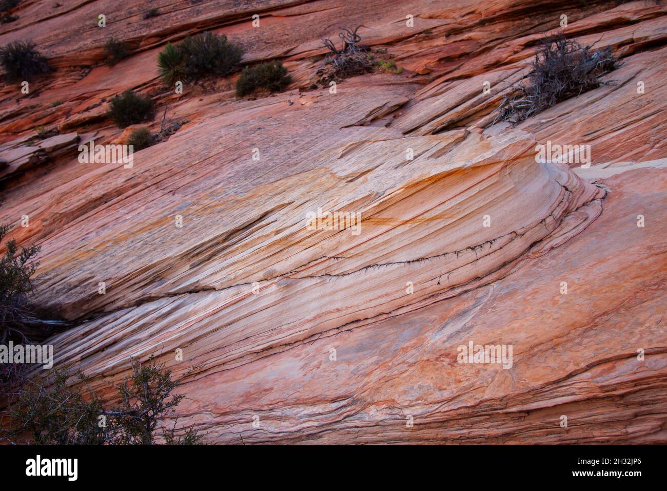 Amazing layered sandstone formation with cracks closeup | Orange sandstone layers with yellow color marks and some bushes Stock Photo