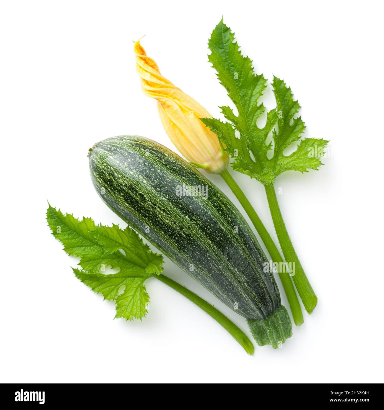 Fresh zucchini with flower and leaves isolated on white background. Top view Stock Photo