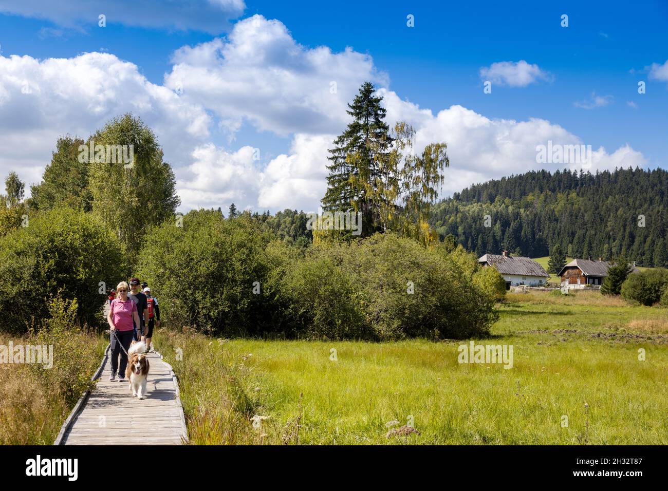 Chalupska slať, Svinná Lada, Šumava, Česká republika / Chalupska swamp ...