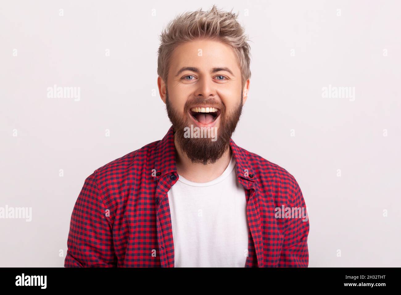 Portrait of happy handsome bearded young man in plaid shirt sincerely laughing with open mouth. Indoor studio shot, isolated on gray background Stock Photo
