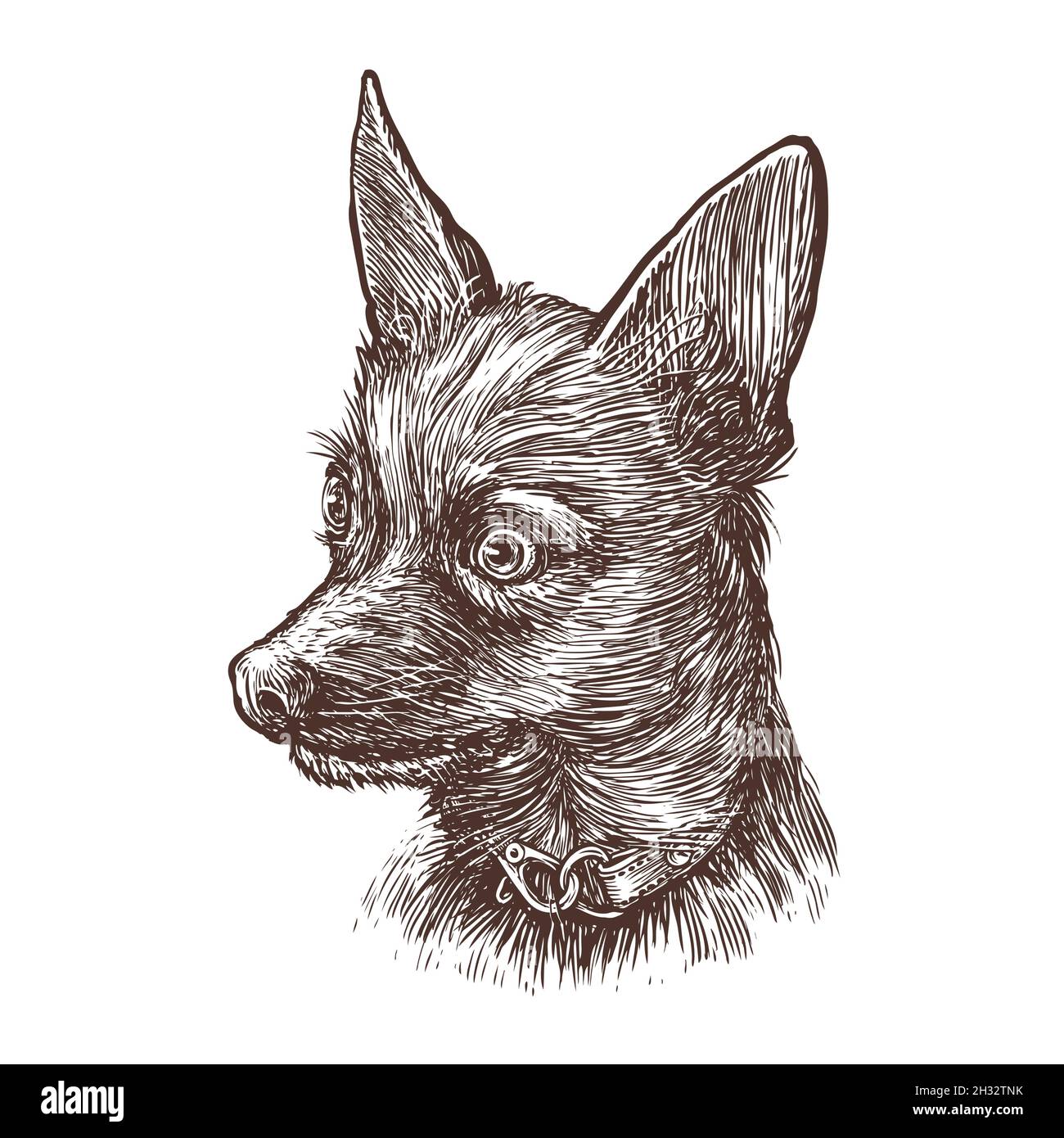 Retro sketch of funny dog. Portrait of puppy vintage vector illustration Stock Vector
