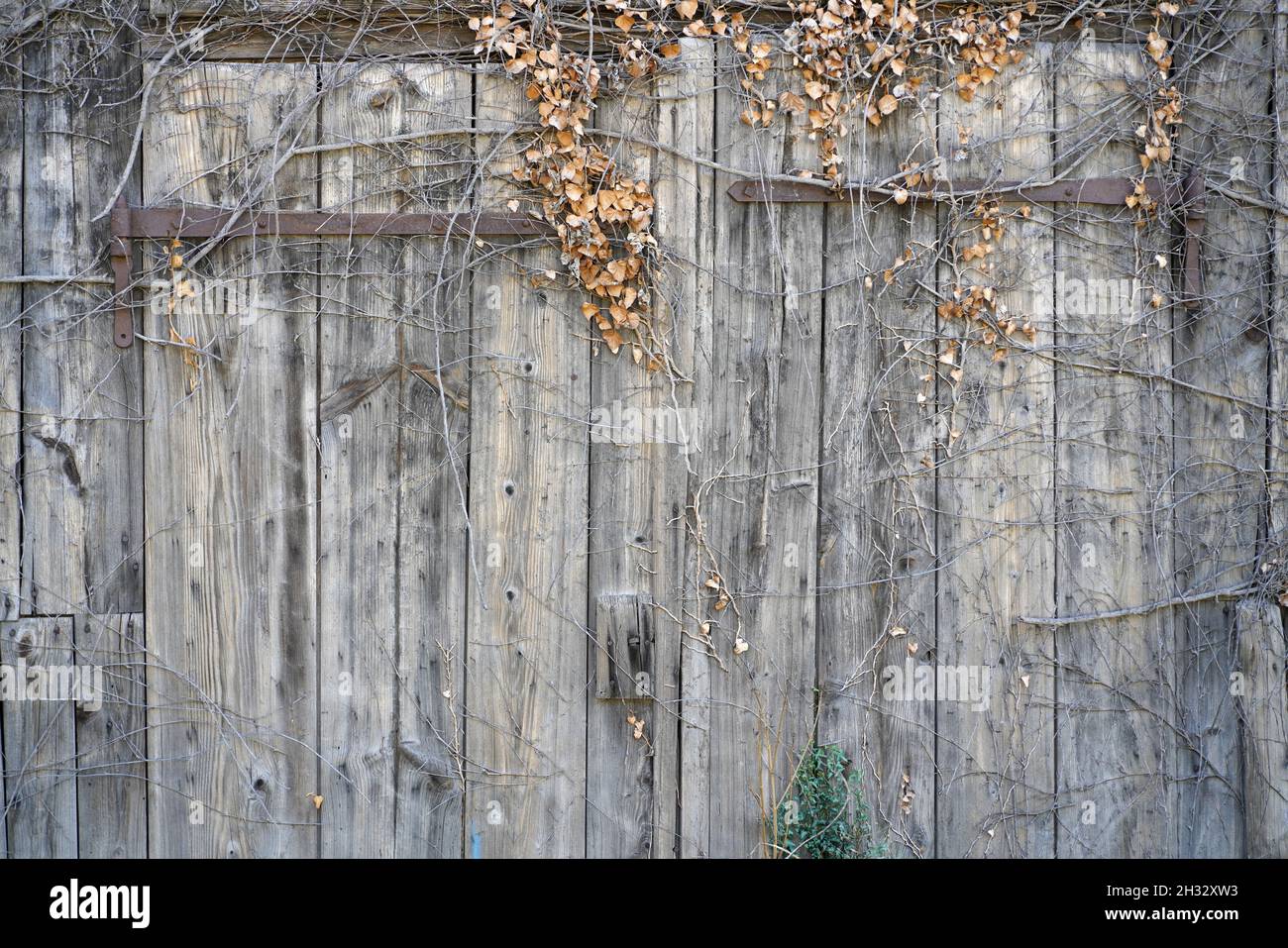 Old barn with broken windows and broken panes Stock Photo