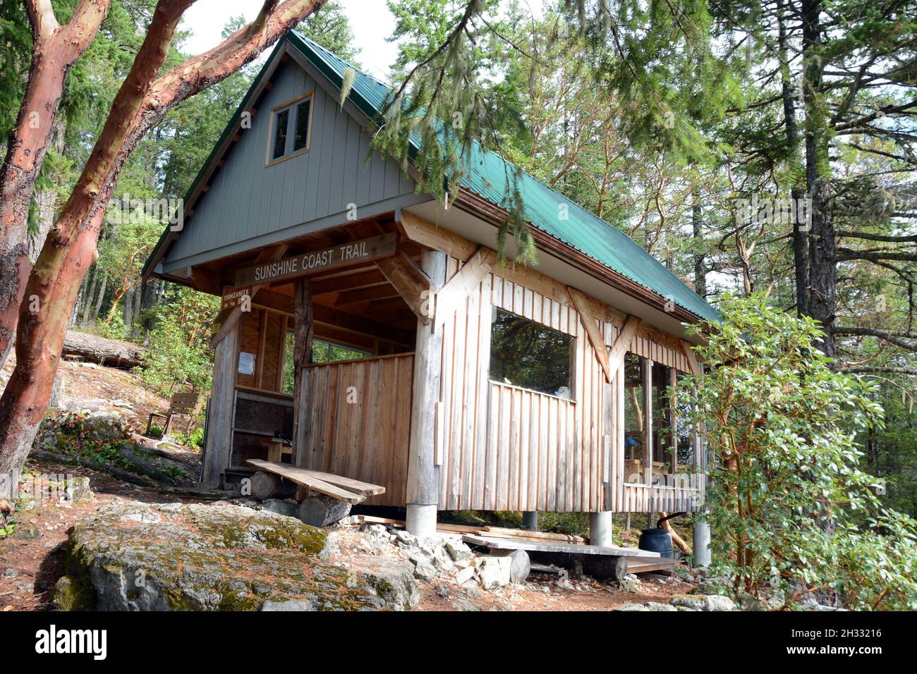 The Manzanita Hut camping shelter in the temperate rainforest, on the