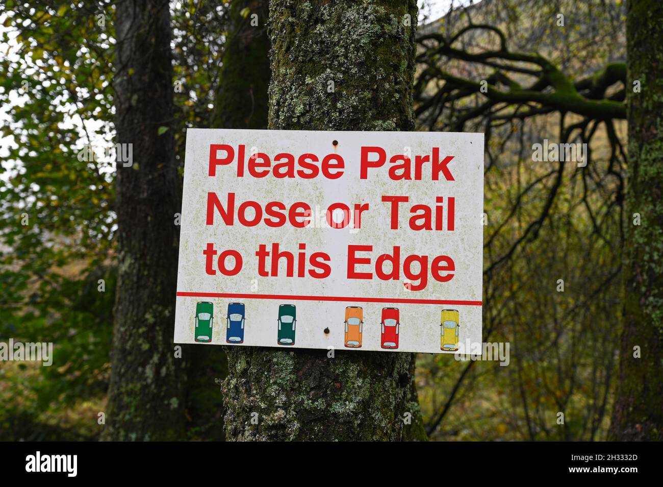 Text 'Please park nose or tail to this edge' with car icons. Heavily blurred forest background. Taken Red Squirrel Campsite, Glencoe, Scotland Stock Photo
