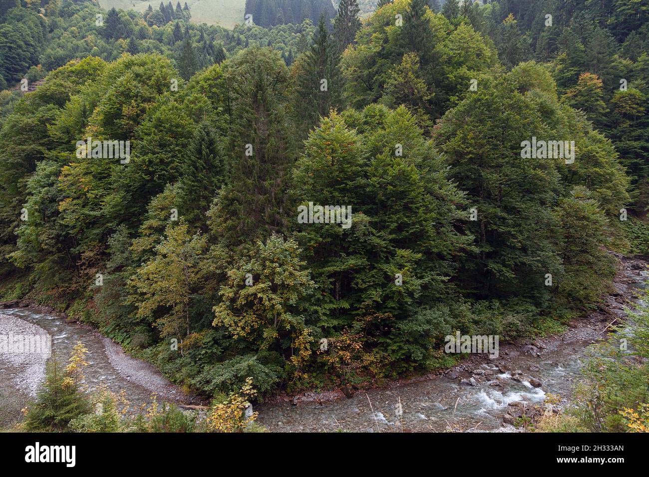 Bend of a creek hi-res stock photography and images - Alamy