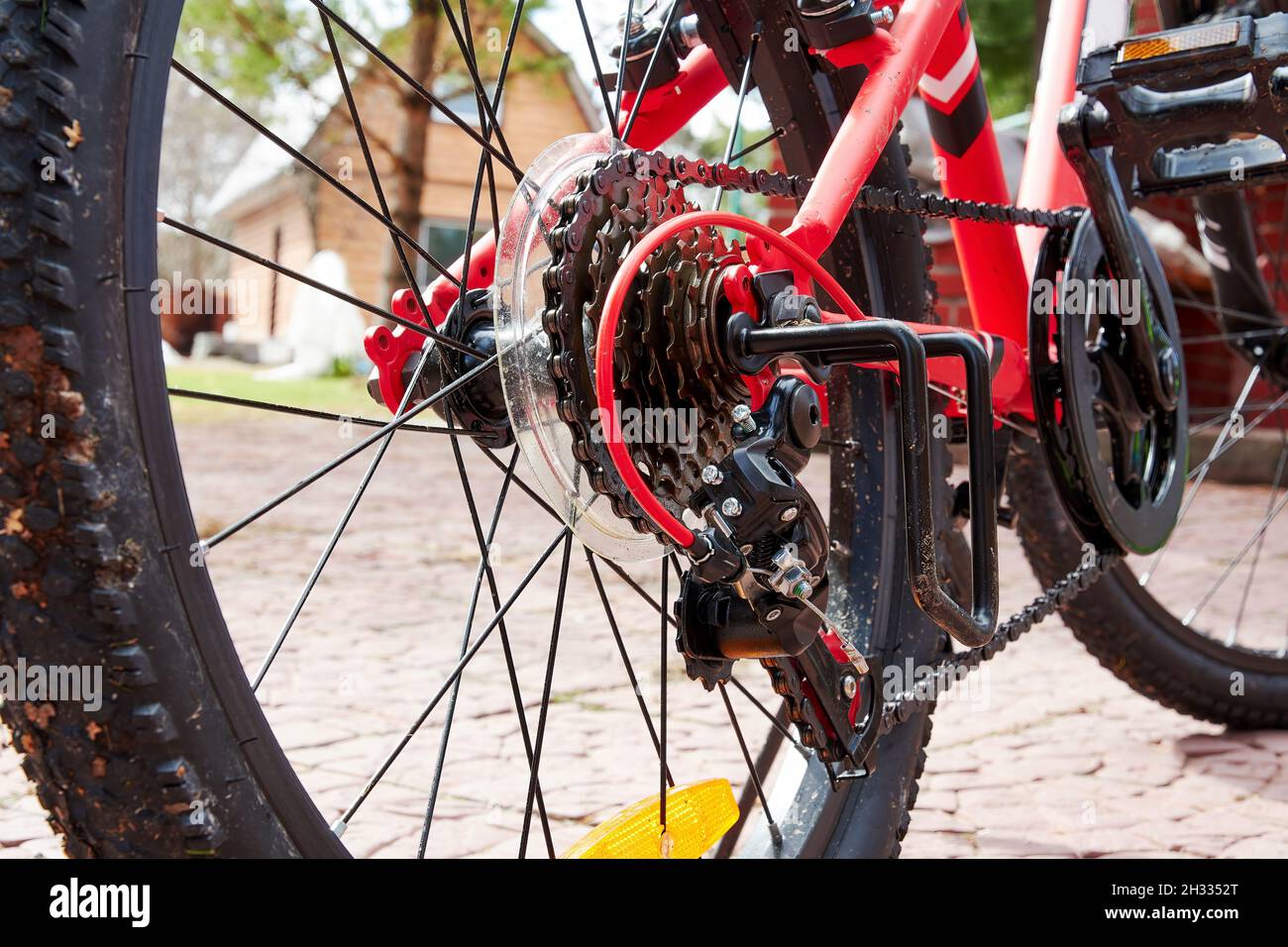 Rear view of red mountain bike staying on the yard and ready for the wild ride. Sport and leisure activity theme and backgrounds Stock Photo