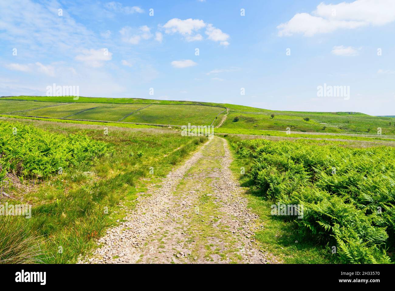 Undulating Footpath Wide stone covered cart track changes to a footpath on its way across ...