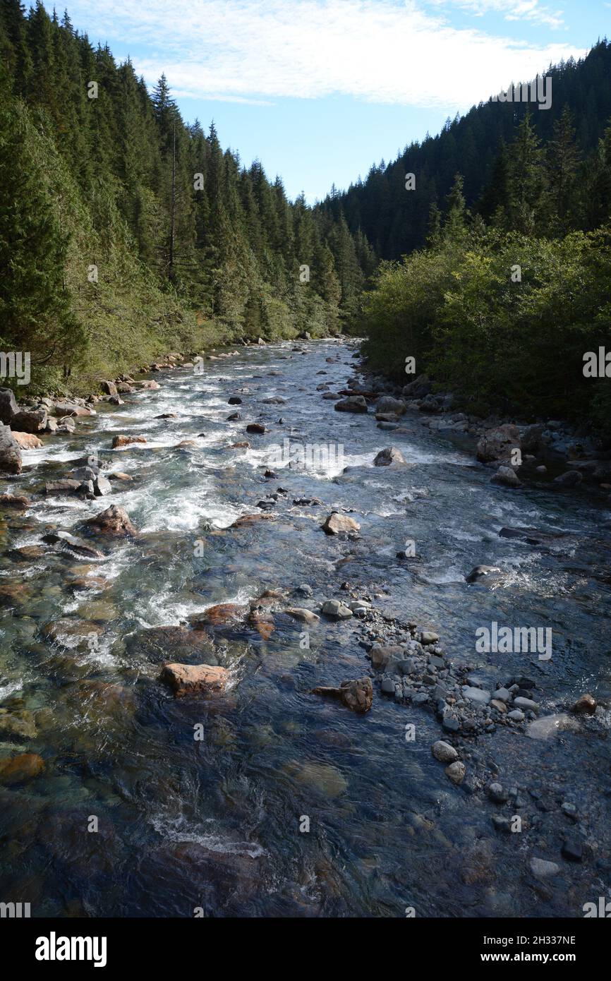 The Gold Creek river, temperate rainforest and Coast Mountains of Golden Ears Provincial Park, near Maple Ridge, British Columbia, Canada. Stock Photo