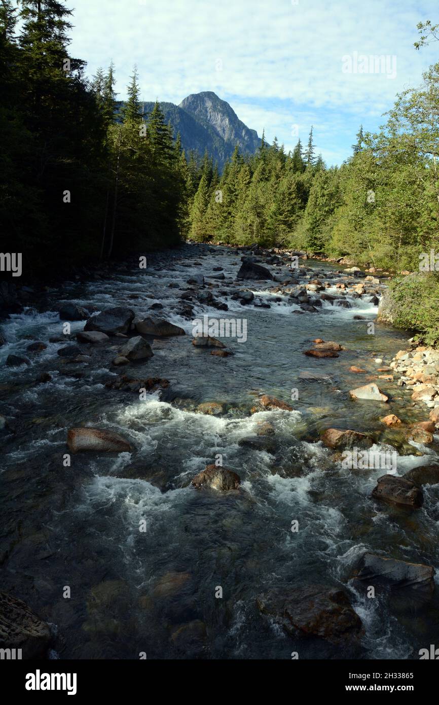 The Gold Creek river, temperate rainforest and Coast Mountains of Golden Ears Provincial Park, near Maple Ridge, British Columbia, Canada. Stock Photo