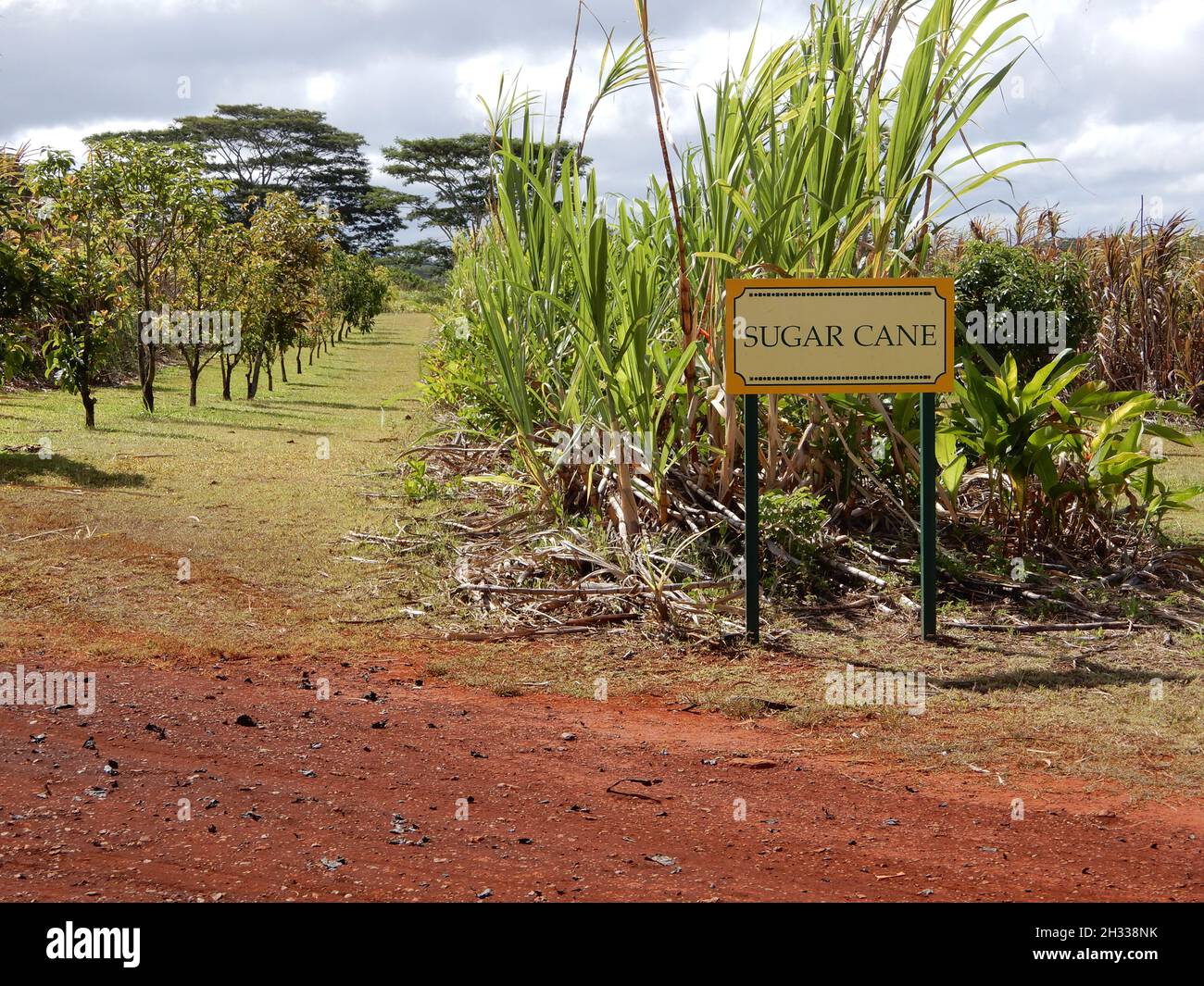 Oahu HI U.S.A. 6/3&6/2021. Dole Plantation. Gardens. Pineapple Express
