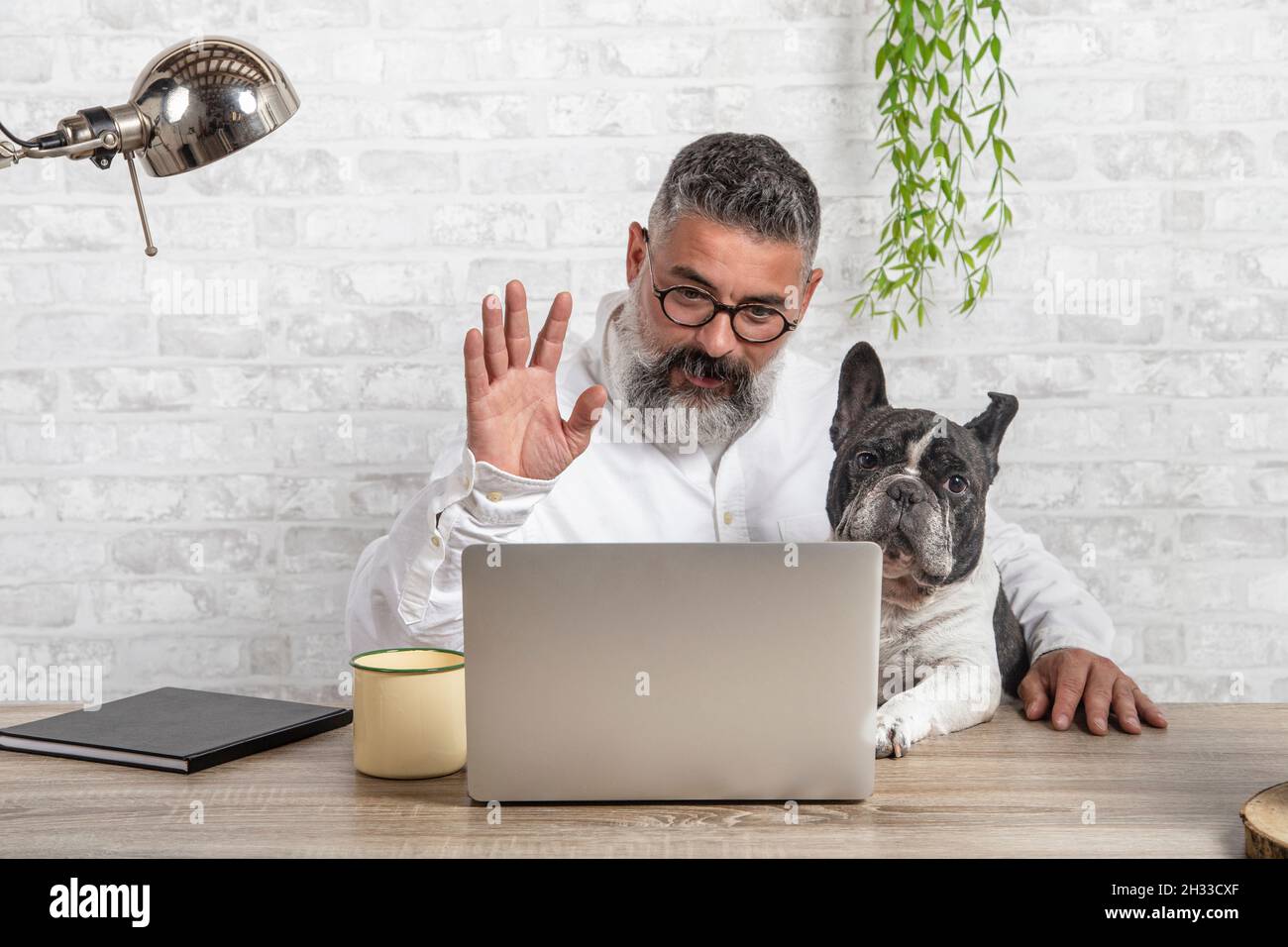 Freelance man working from home with his dog. Entering a meeting with a cute dog Stock Photo