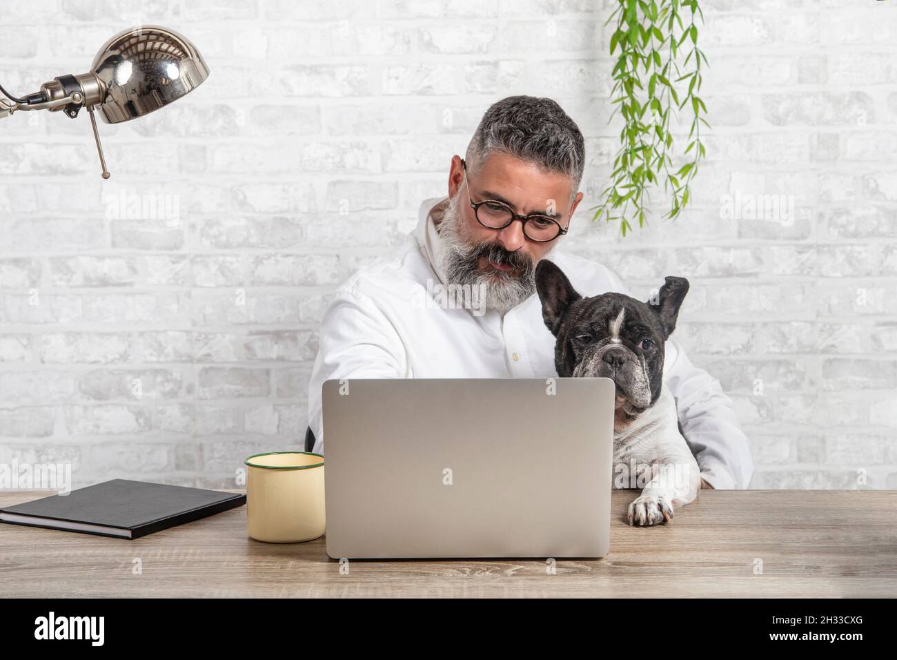 Freelance man working from home with his dog sitting in the office. Man using a laptop at home with a cute dog Stock Photo