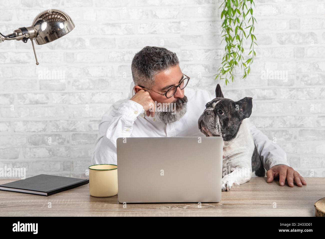 Freelance man working from home with his dog sitting in the office. Man using a laptop at home with a cute dog Stock Photo