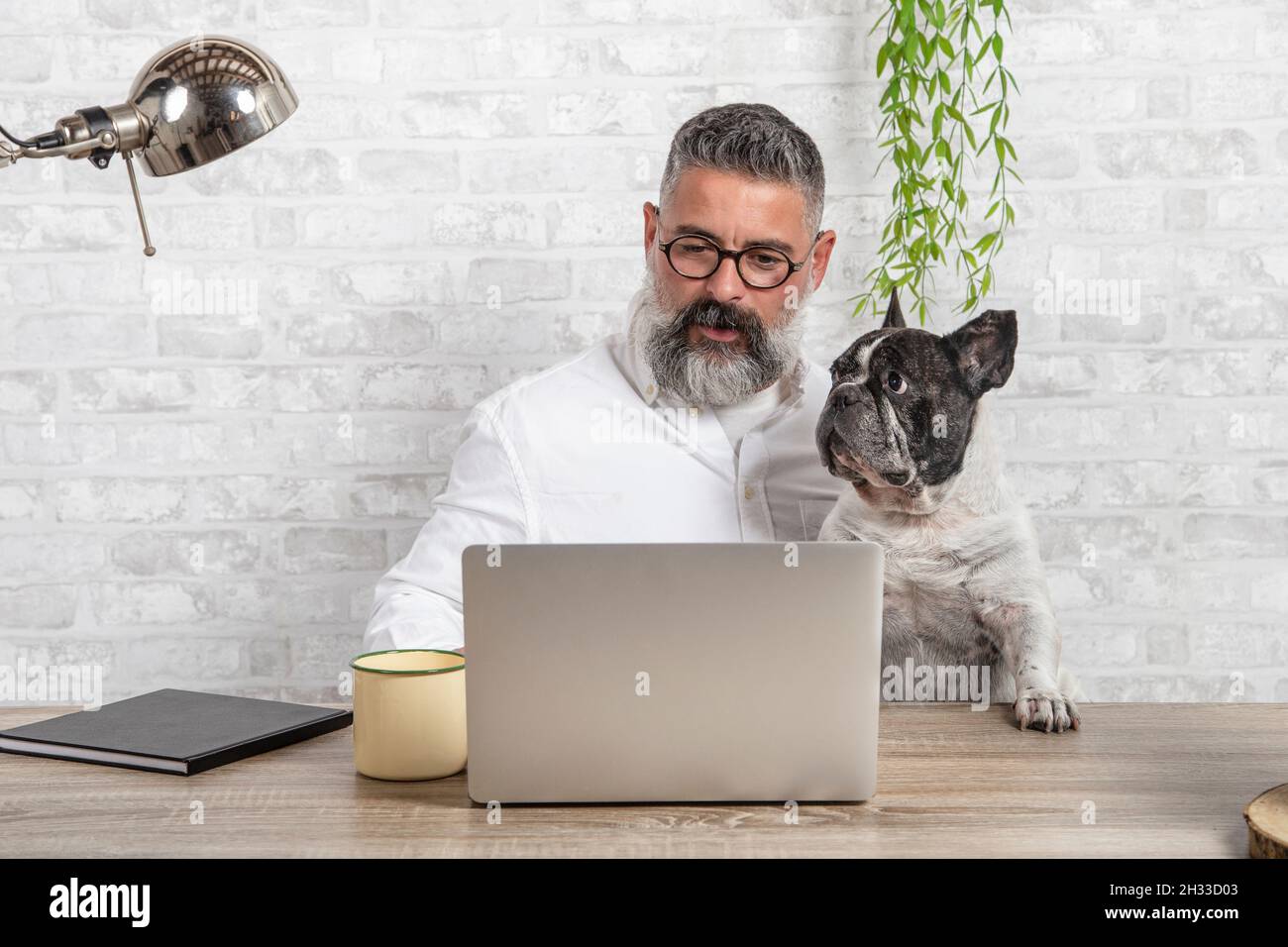 Freelance man working from home with his dog sitting together in office Stock Photo