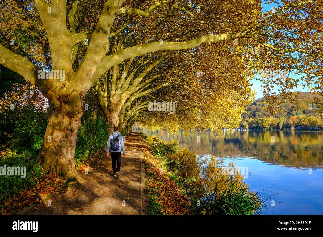 Essen, North Rhine-Westphalia, Germany - Golden autumn at Lake Baldeney. Stock Photo