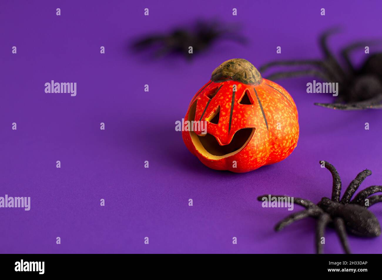 Close up of decoration orange small smile Halloween pumpkin and black horror spiders on vibrant purple blurred background and copy space. Holiday autu Stock Photo