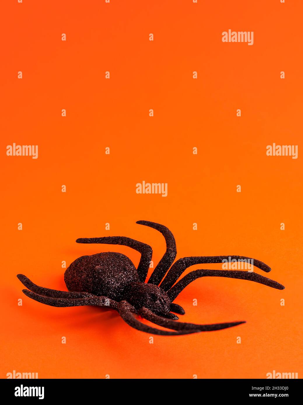 One big black horror spider on orange backdrop with copy space. Halloween decoration spooky background concept for holidays Stock Photo