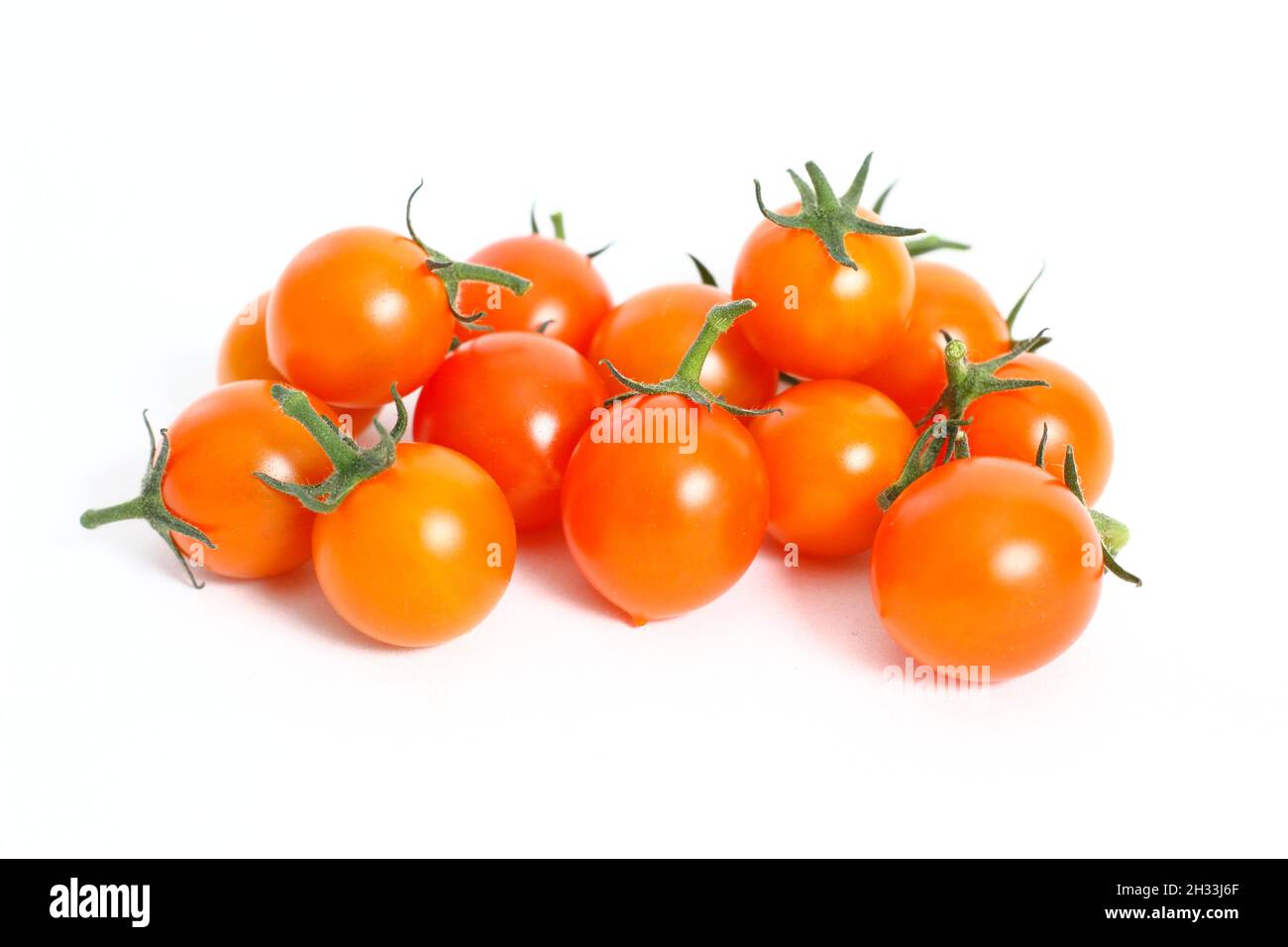 Cherry tomatoes. Freshly picked Sungold cherry tomatoes isolated on a white background. UK Stock Photo