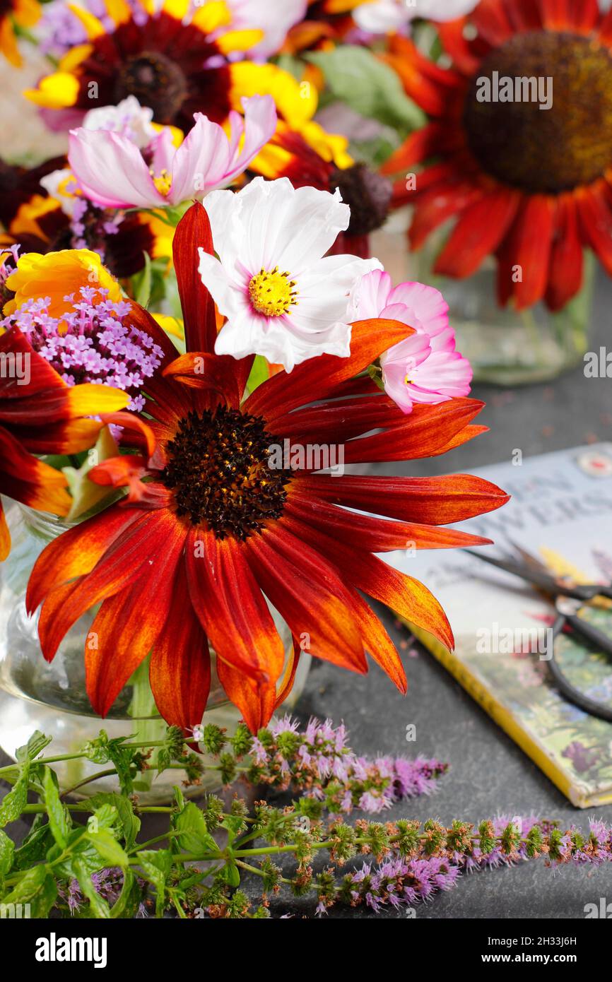 Ladybird book garden flowers hires stock photography and images Alamy