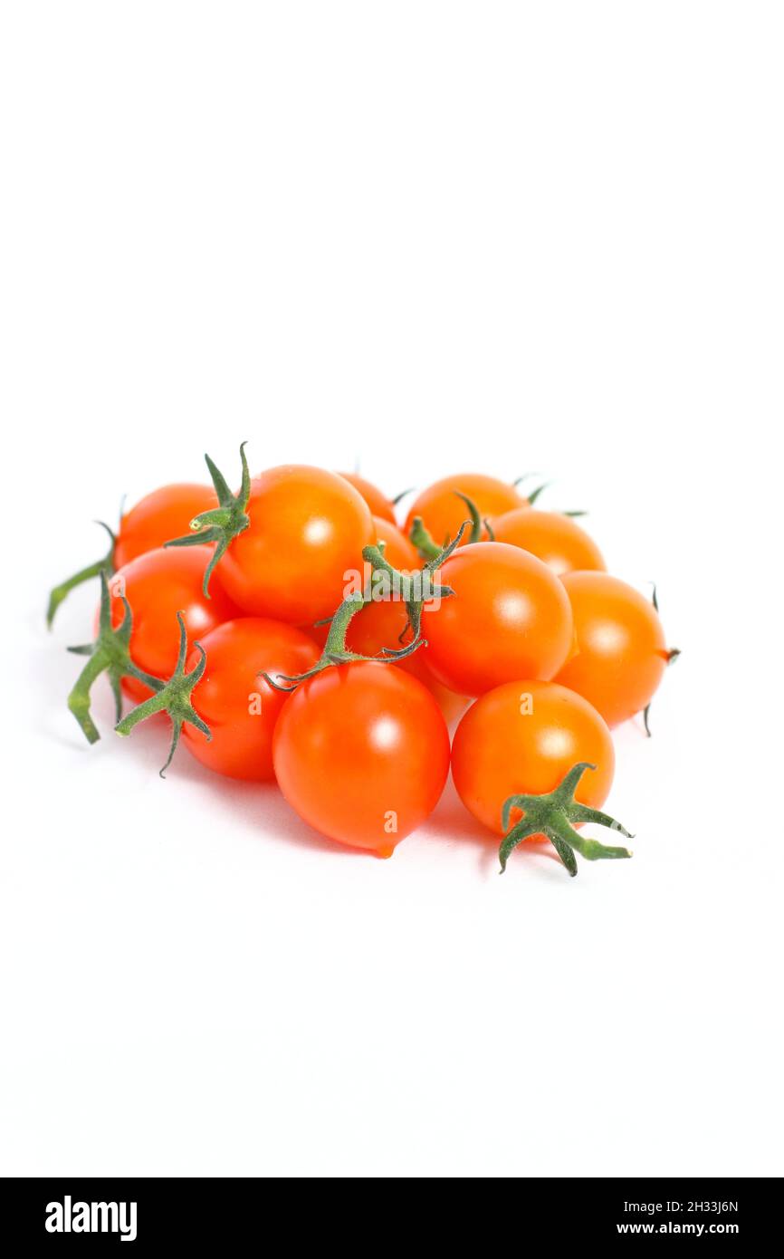 Cherry tomatoes. Freshly picked Sungold cherry tomatoes isolated on a white background. UK Stock Photo