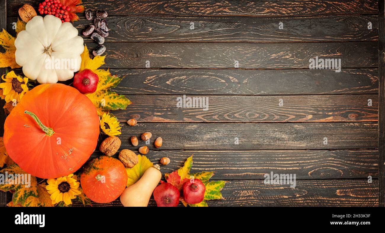 Thanksgiving day and harvest composition on dark wooden background. Copy space Stock Photo