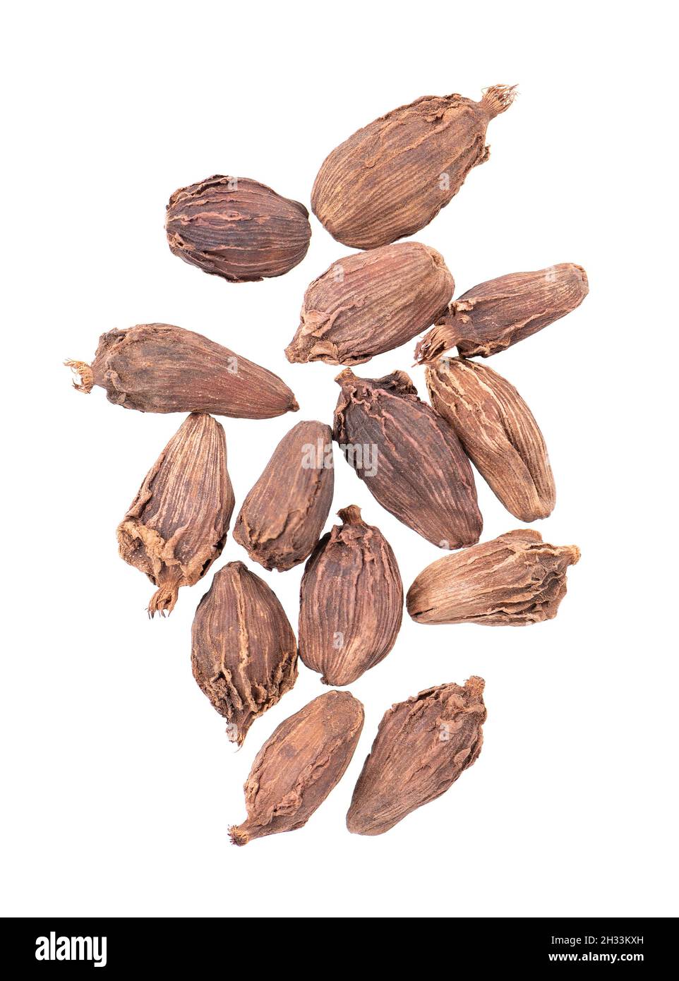 Heap of black cardamom pods isolated on white background. Black