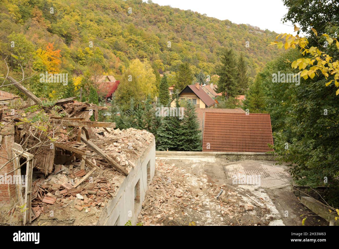 forestry, poverty and regeneration Hungary Stock Photo