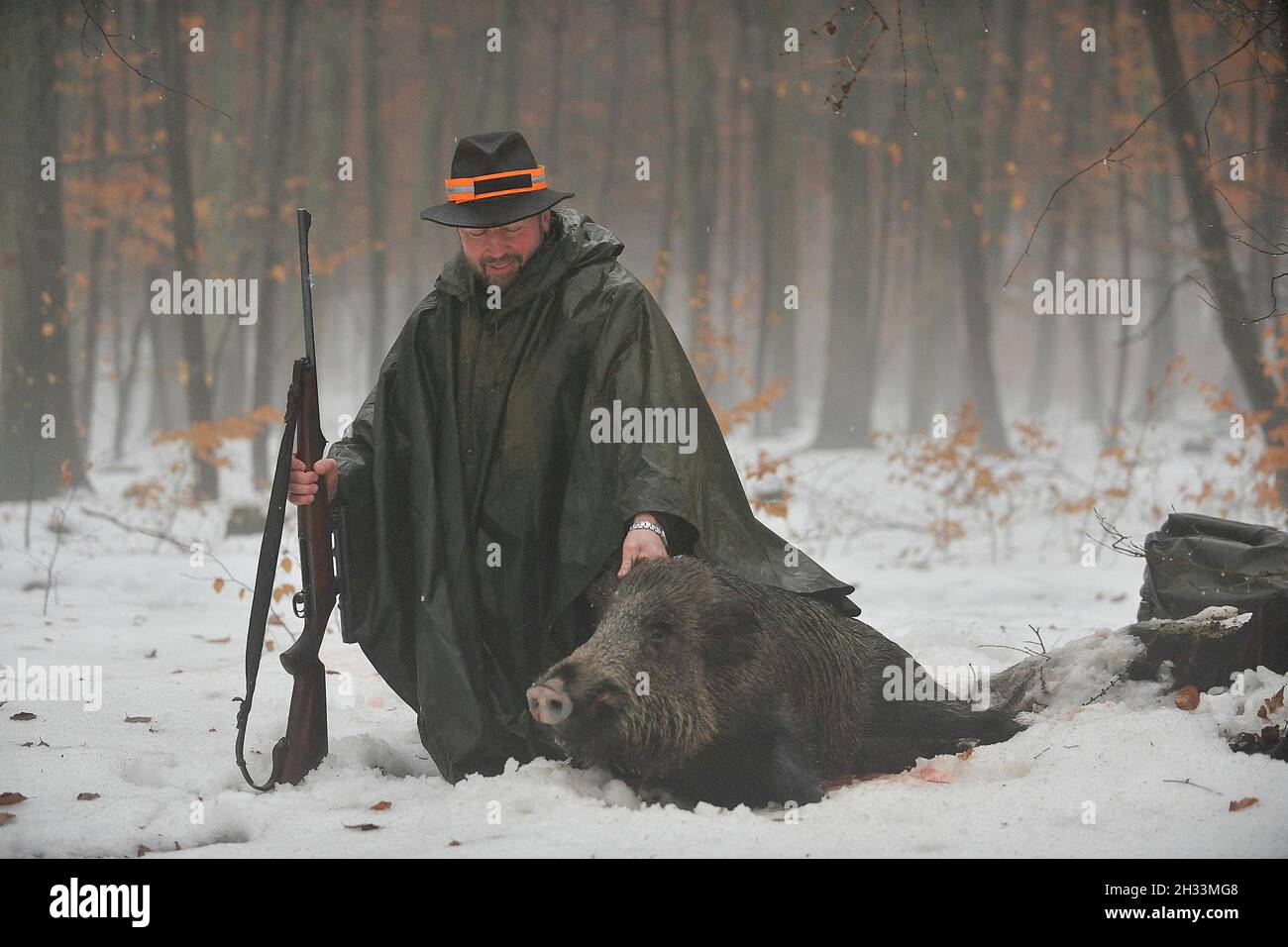 german hunter with the wild boar he killed Stock Photo