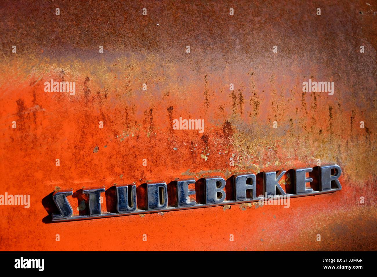 Detail or rusted old Studebaker hood of car or truck texture vintage