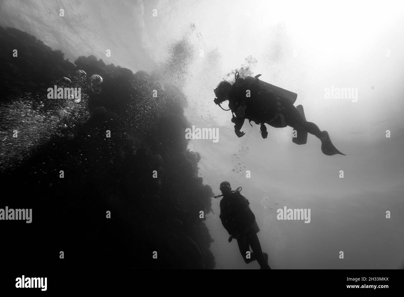 Scuba divers underwater, Agincourt Reef, Great Barrier Reef, Queensland, Australia Stock Photo