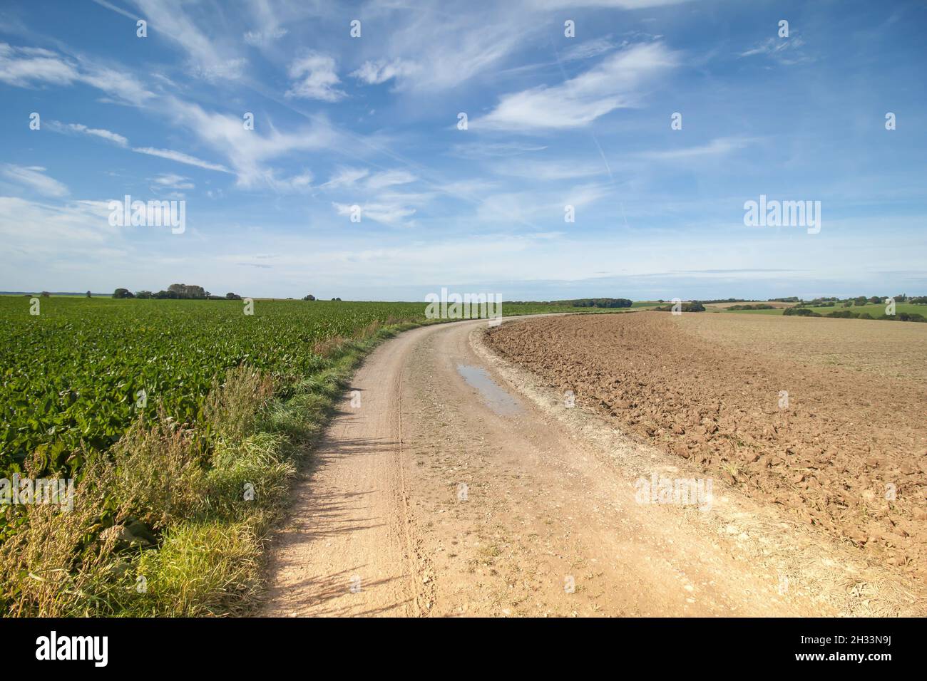 Beautiful view of a landscape with a pathway Stock Photo - Alamy