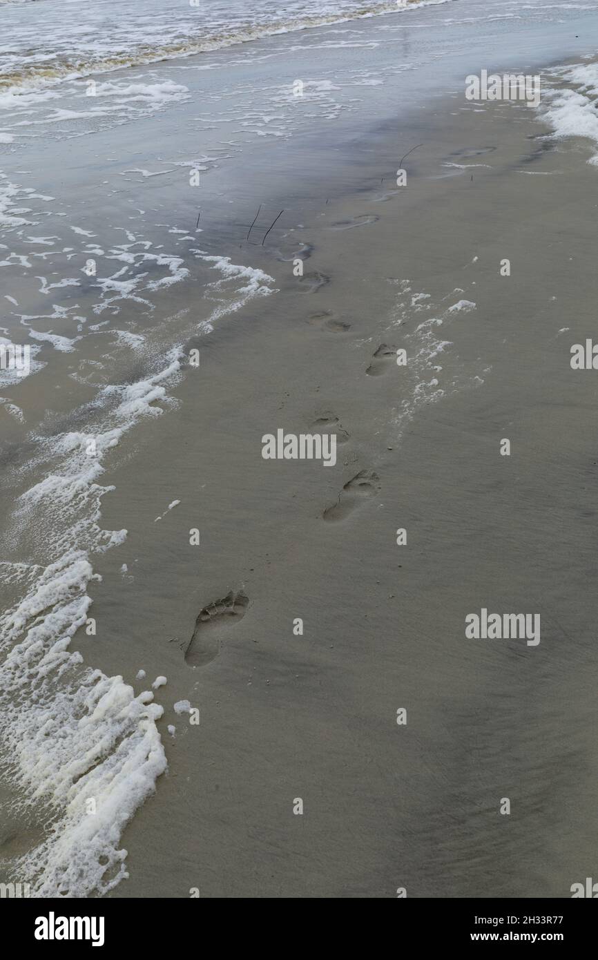 Barefoot footprints in beach sand washing away in the distance, water and sea foam, vertical aspect Stock Photo
