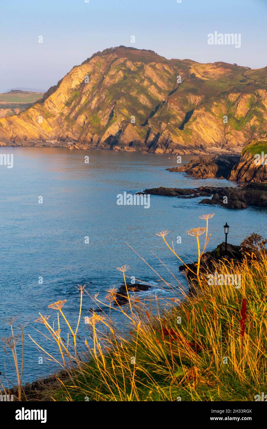 Rocky cliffs and beach in summer at Ilfracombe on the North Devon coast in south west England UK. Stock Photo